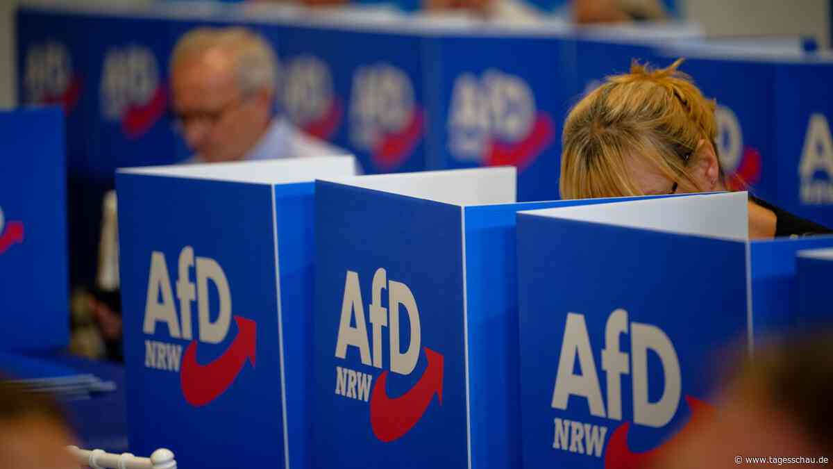 Machtkampf: AfD-Bundesvorstand setzt Untersuchungskommission ein
