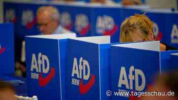 Machtkampf: AfD-Bundesvorstand setzt Untersuchungskommission ein