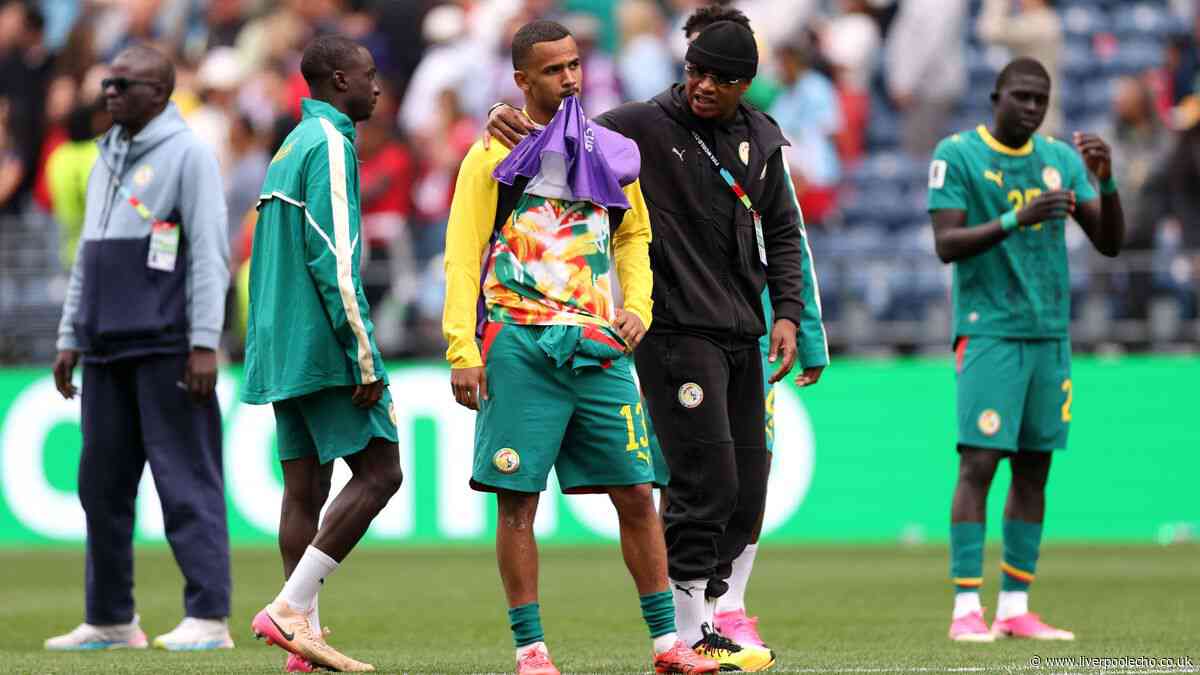 Everton World Cup players rated after all four suffered frustrating exits