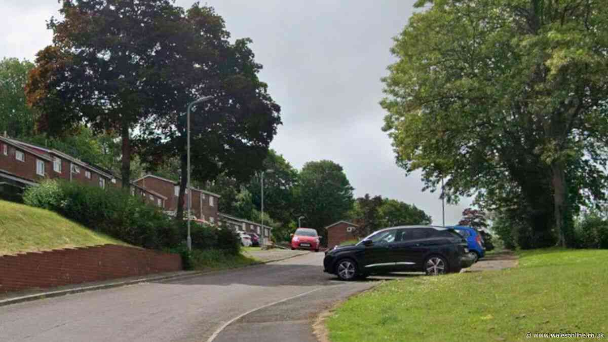 Woman dies after being run over by her own car