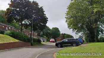 Woman dies after being run over by her own car