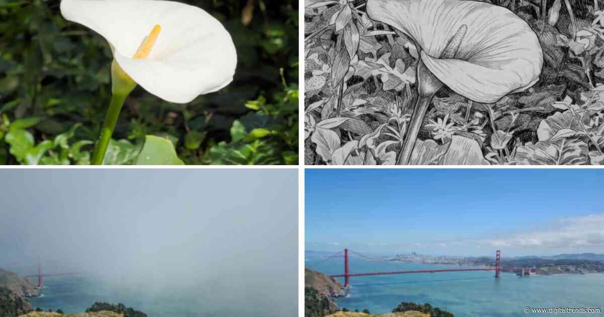 Adobe’s Project Indigo camera app can now edit and critique your photos with AI