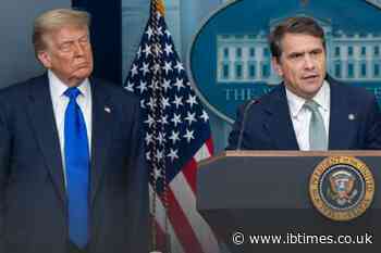 Trump DOJ Drops Corporate Crime Investigations, Giving Major Companies a Free Pass