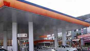 E20 petrol debate: Govt cites data for 23 crore vehicles, says 'no verified evidence' of widespread engine failure