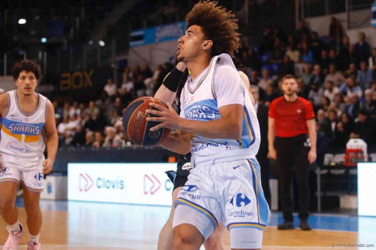 Antibes à la maison pour débuter : découvrez le calendrier d’Élite 2 des Sharks pour la saison 2026-2027