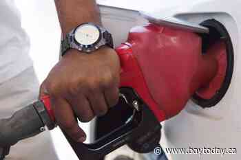 Economists see encouraging signs in June inflation report beyond gas price break