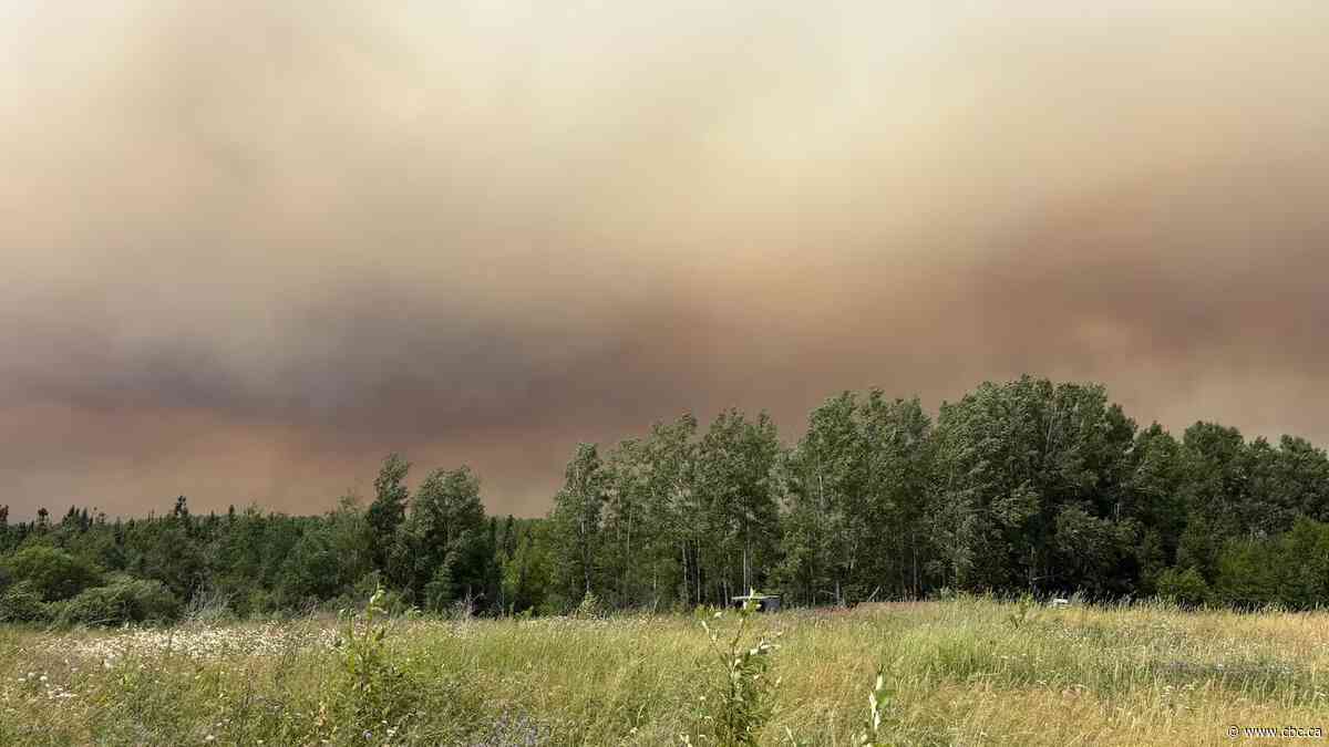 Ontario's firefighting system 'falling apart' from mismanagement: union representative