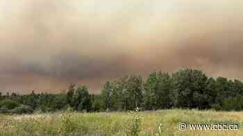 Ontario's firefighting system 'falling apart' from mismanagement: union representative