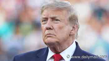 Andy Burnham invites Donald Trump to Manchester in awkward first phone call... despite new PM previously suggesting he would BAN 'deeply troubling' US President from city