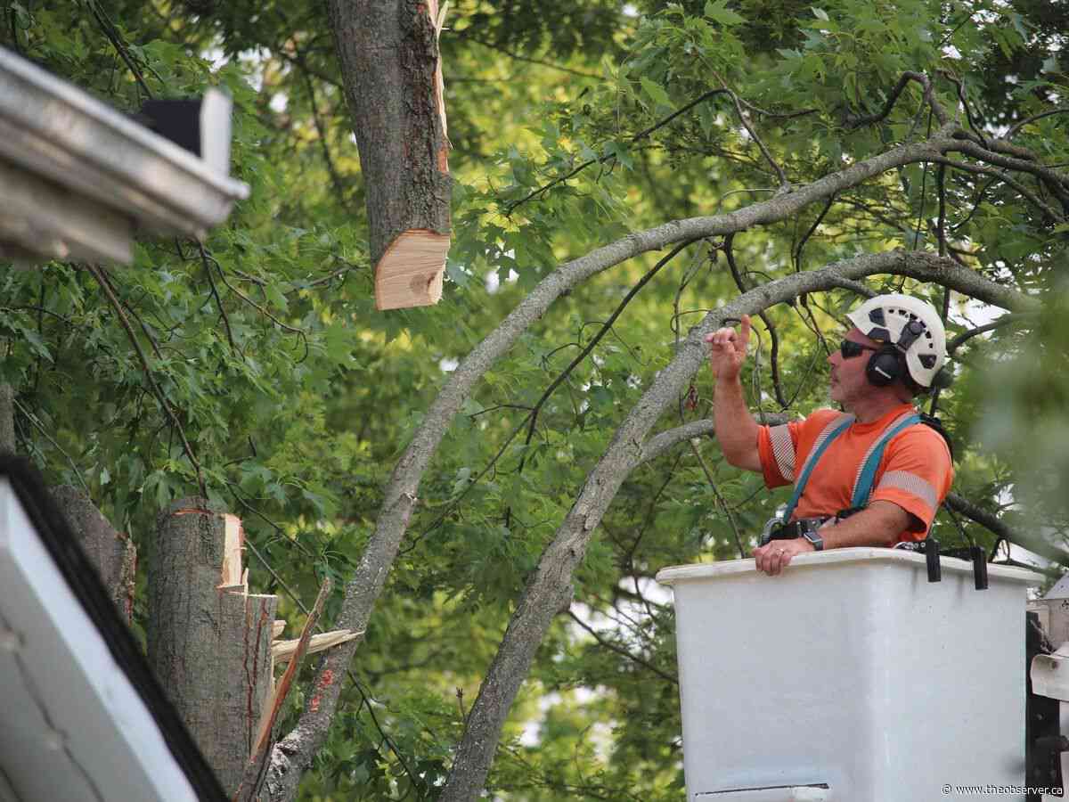Cleanup continues Monday in and around Mooretown following Saturday's storm