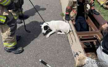 Dog rescued after being trapped in Oklahoma City storm drain