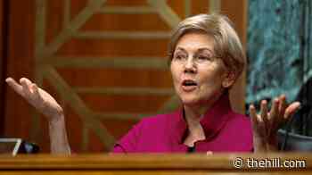 Warren backs El-Sayed in Michigan Senate race