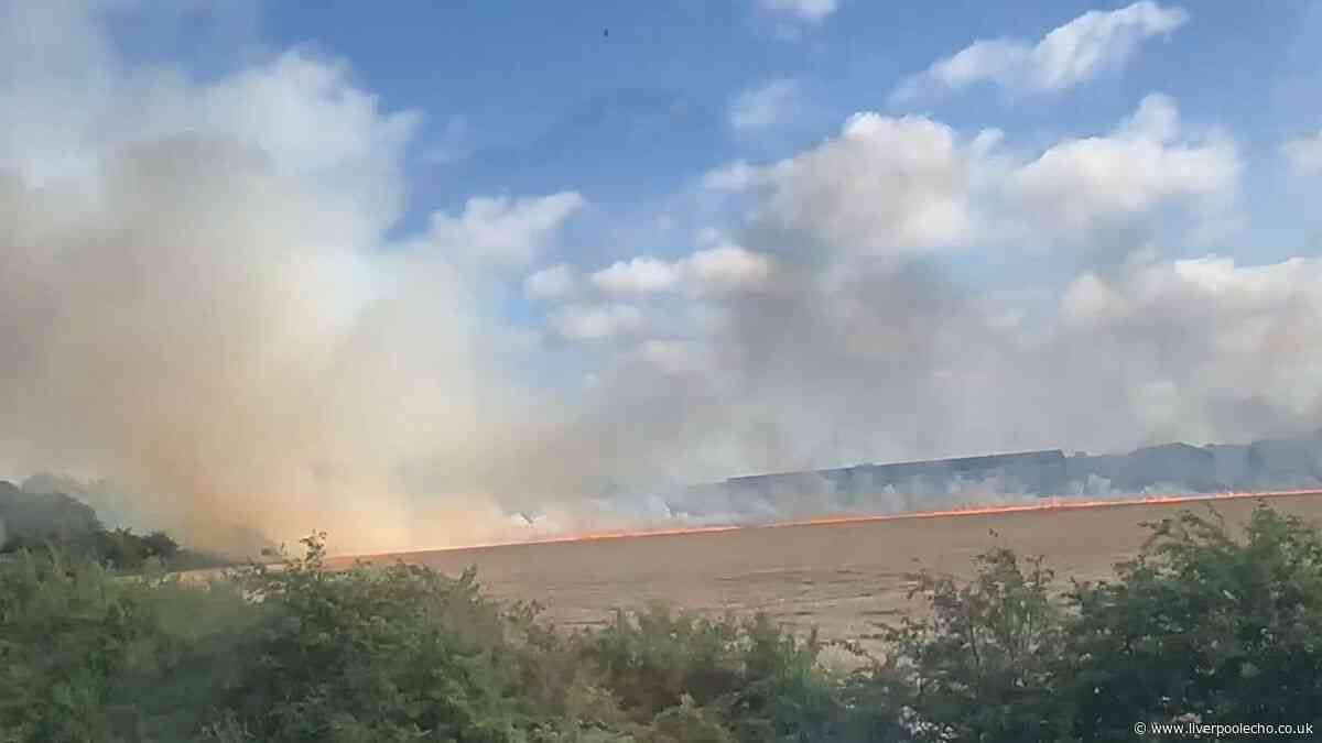 Large fire breaks out in Litherland grassland area