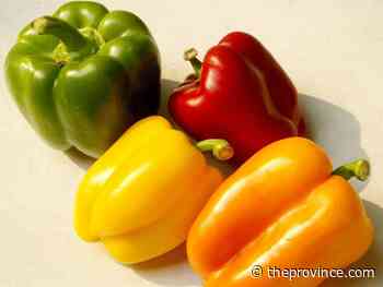 The case for letting bell peppers ripen to red, orange or yellow