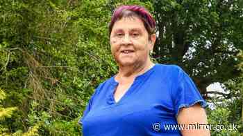 Gran refuses to sell patch of garden to save ancient oak from £45,000,000 Hereford Bypass