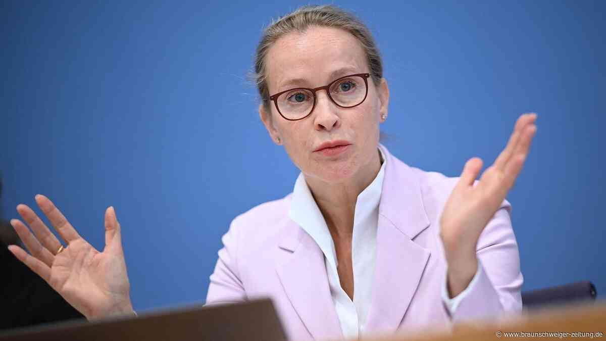 Legalisierung von Leihmutterschaften? Brosius-Gersdorf mit klarer Haltung