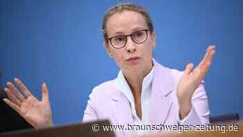 Legalisierung von Leihmutterschaften? Brosius-Gersdorf mit klarer Haltung