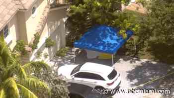 Woman dead after falling from mango tree in Miramar, police say