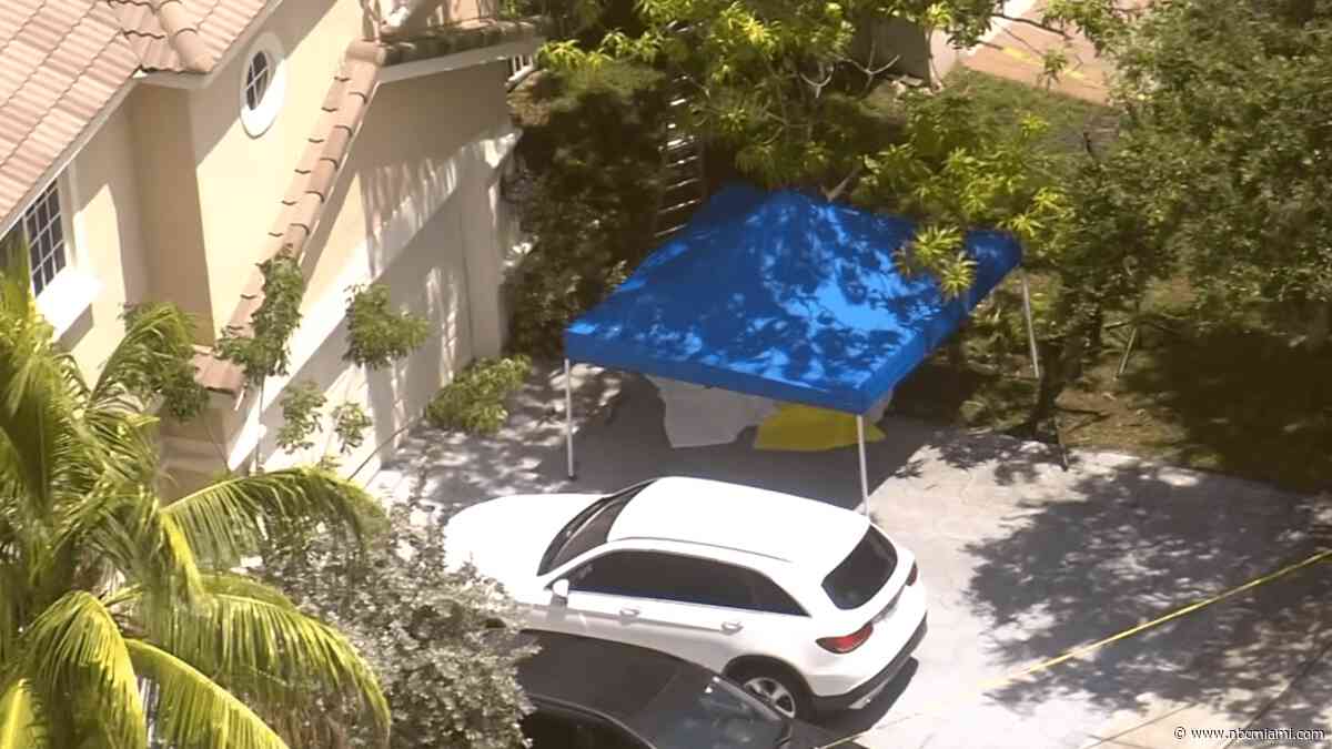 Woman dead after falling from mango tree in Miramar, police say