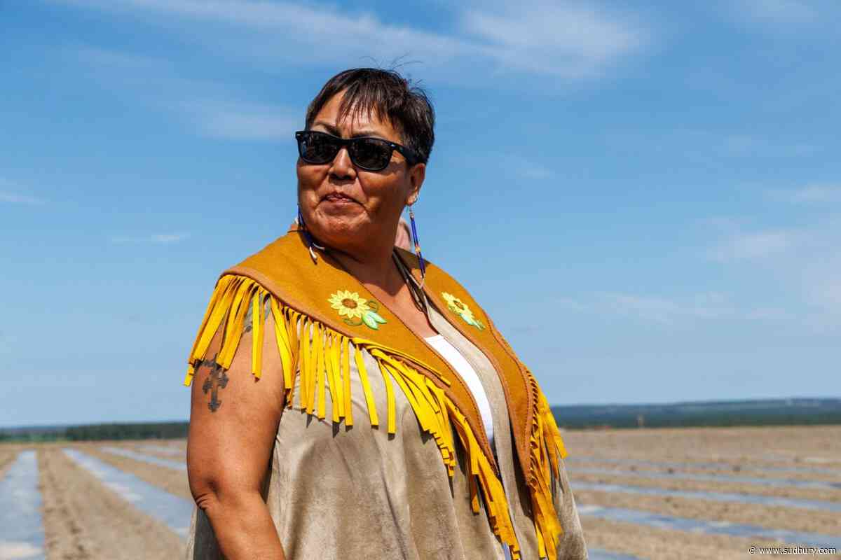 Blueberry First Nations say native plant orchard to help restore B.C. industry sites