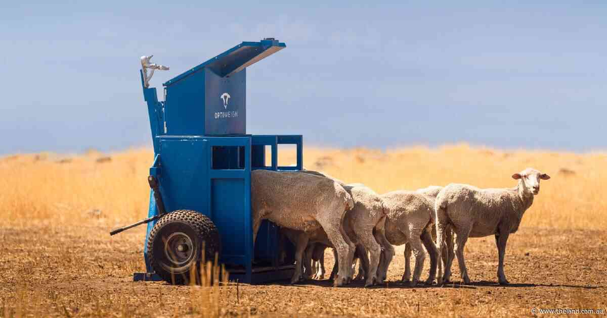 Measuring methane on-farm: space-age and palaeolithic tech help drive decisions