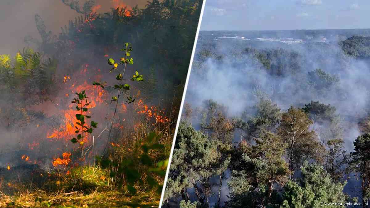 Grote natuurbrand Geffen: brand woedt nog onder de grond