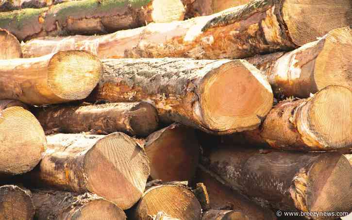 Log Truck Overturns Hwy 12 in Attala Monday Afternoon