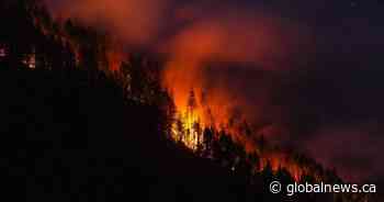 Is Canada doing enough to prevent forest fires from getting out of control?