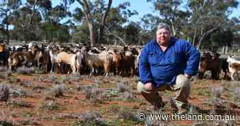 G.O.A.T. business: why this rangeland producer wouldn't be anywhere else