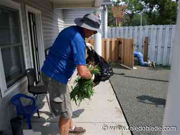 Rotary members roll up their sleeves to serve across the city