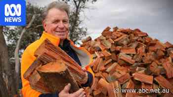 Firewood side hustle sparks multi-million-dollar business in four states