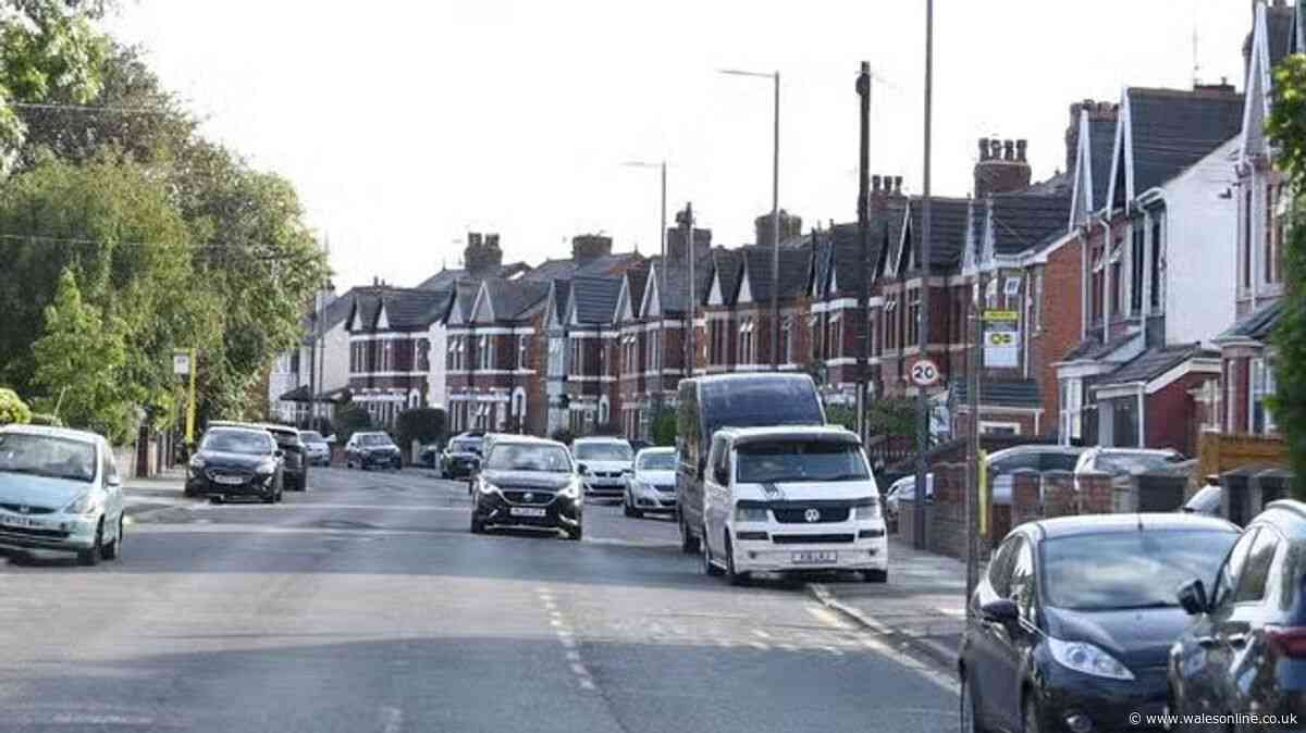 Tragedy as boy, 3, dies after falling into pond