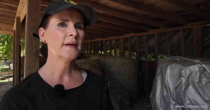 As diesel prices top $5 a gallon again, Georgia farmers brace for higher delivery costs