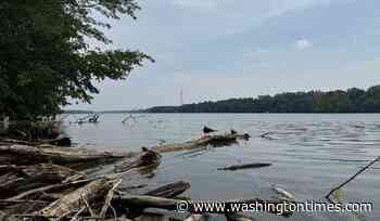 Attempt to save a struggling swimmer leaves 5 dead in an Ohio river