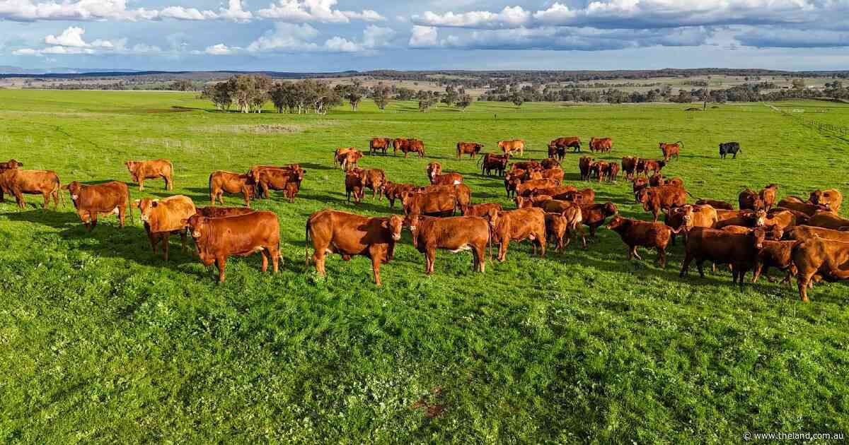 Highly productive 2967 acre farming and grazing operation with potential