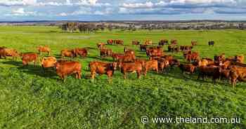 Highly productive 2967 acre farming and grazing operation with potential