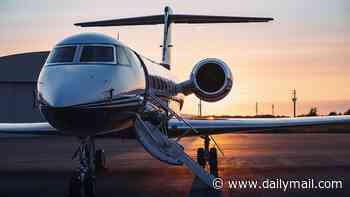 'Apocalypse Early Warning System' goes online to track billionaire jets fleeing before disaster strikes