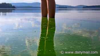 Toxins lurking in oceans now discovered to be airborne... posing dangerous health risk