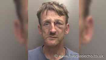 Judge tells man 'look at yourself' as he jails him for 'mean' attack at dessert shop