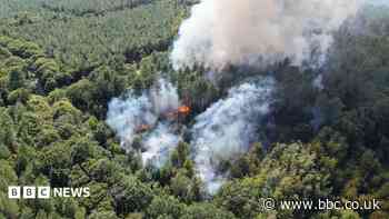 Wildfire breaks out in ancient woodland