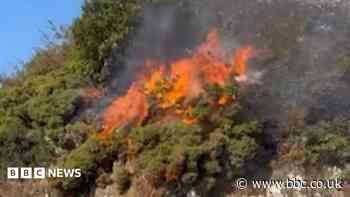 Children with fireworks suspected of causing blaze
