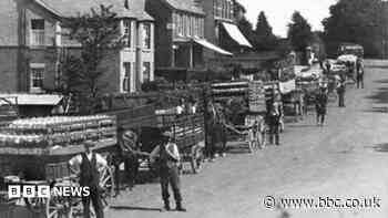 Strawberry fields - Hampshire's summer fruit heyday