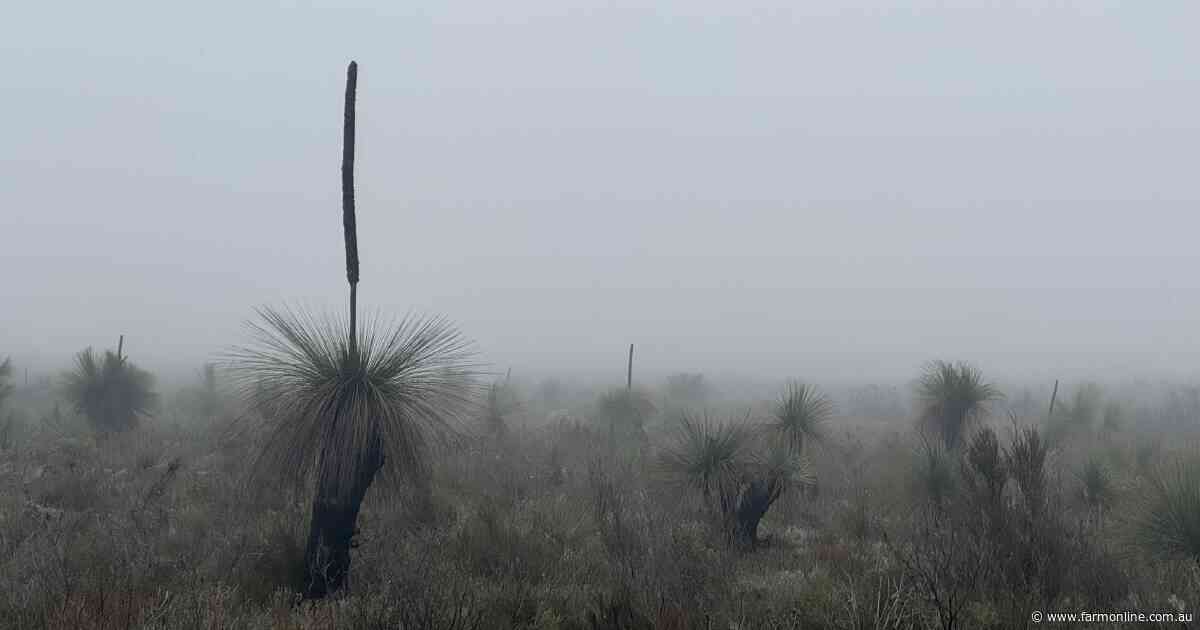 Inland areas shiver through near-record cold as lingering fog settles