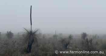 Inland areas shiver through near-record cold as lingering fog settles