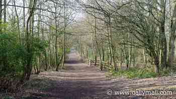 Woman 'is raped in a park in broad daylight': Police appeal for witnesses