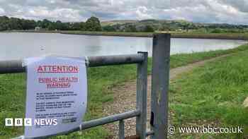 Reservoir warning over algae that can kill pets