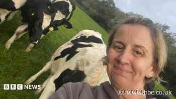 Woman to milk 10,000 cows in 10 days