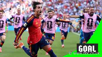 Spain's Torres scores only goal of World Cup final