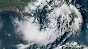Tropical Storm Bertha erupts near US coast as millions brace for direct hit