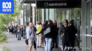 Private firms profit as Australia's job system fails workers, report finds